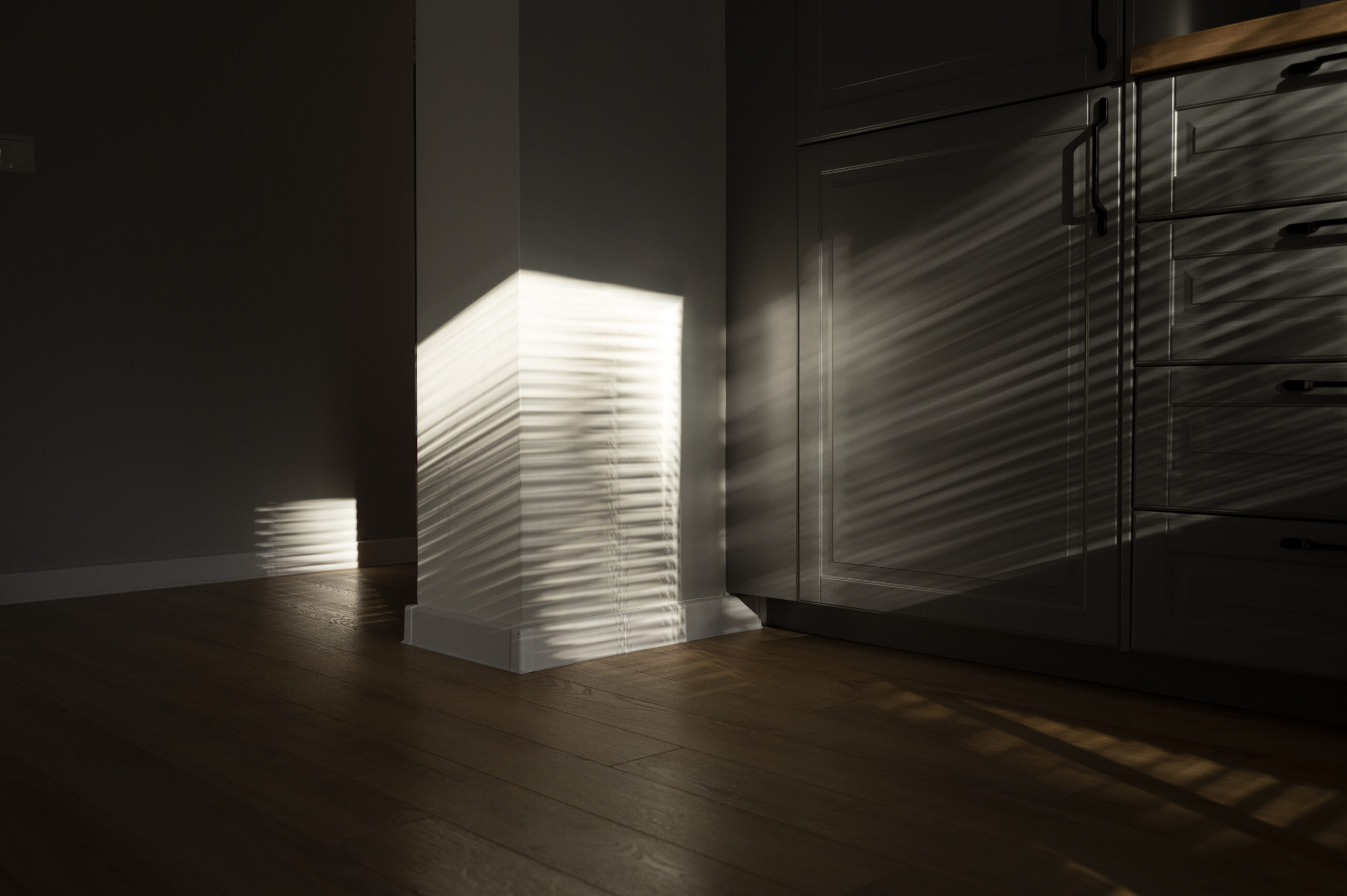 Blackout Shades